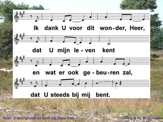 Heer, U doorgrondt en kent mij (Opw 518) t. & m. M. Zimmer
 