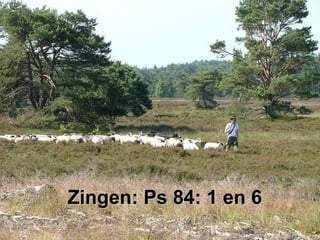 Zingen: Ps 84: 1 en 6Zingen: Ps 84: 1 en 6
 