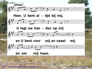 Heer, U doorgrondt en kent mij (Opw 518) t. & m. M. Zimmer
 