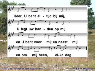 Heer, U doorgrondt en kent mij (Opw 518) t. & m. M. Zimmer
 