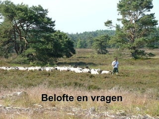 Belofte en vragenBelofte en vragen
 