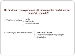 Se funcionar, como podemos utilizar as plantas medicinais em
benefício a saúde?
• Plantas in natura
• Fabricação de medicamentos
-chás
- culinária
- óleos essenciais
- extrato da planta
- compostos específicos pela ação
terapêutica
 