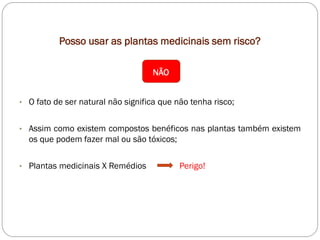 Posso usar as plantas medicinais sem risco?
• O fato de ser natural não significa que não tenha risco;
• Assim como existem compostos benéficos nas plantas também existem
os que podem fazer mal ou são tóxicos;
• Plantas medicinais X Remédios Perigo!
NÃO
 