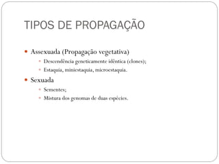 TIPOS DE PROPAGAÇÃO
 Assexuada (Propagação vegetativa)
 Descendência geneticamente idêntica (clones);
 Estaquia, miniestaquia, microestaquia.
 Sexuada
 Sementes;
 Mistura dos genomas de duas espécies.
 
