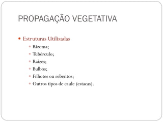 PROPAGAÇÃO VEGETATIVA
 Estruturas Utilizadas
 Rizoma;
 Tubérculo;
 Raízes;
 Bulbos;
 Filhotes ou rebentos;
 Outros tipos de caule (estacas).
 