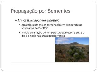 Propagação por Sementes
 
