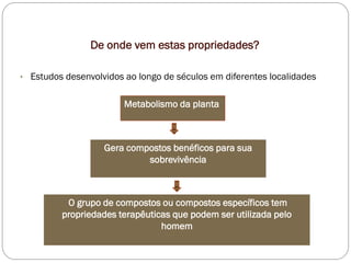 De onde vem estas propriedades?
• Estudos desenvolvidos ao longo de séculos em diferentes localidades
Metabolismo da planta
Gera compostos benéficos para sua
sobrevivência
O grupo de compostos ou compostos específicos tem
propriedades terapêuticas que podem ser utilizada pelo
homem
 