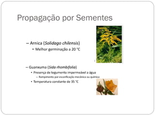 09-22-18-aula1-plantasmedicinais.pdf
