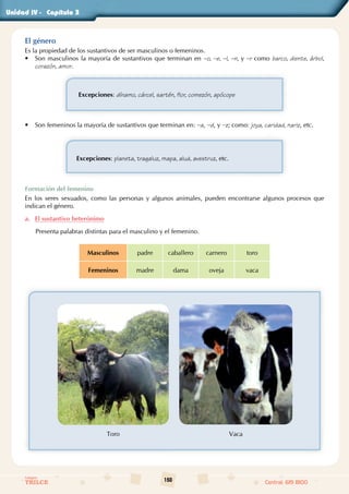 150
Colegios
TRILCE Central: 619 8100
Unidad - Capítulo
El género
Es la propiedad de los sustantivos de ser masculinos o femeninos.
• Son masculinos la mayoría de sustantivos que terminan en ­–o, ­–e, ­–l, ­–n, y ­–r como barco, diente, árbol,
corazón, amor.
Excepciones: dínamo, cárcel, sartén, flor, comezón, apócope
• Son femeninos la mayoría de sustantivos que terminan en: ­
–a, ­
–d, y ­–z; como: joya, caridad, nariz, etc.
Excepciones: planeta, tragaluz, mapa, alud, avestruz, etc.
Formación del femenino
En los seres sexuados, como las personas y algunos animales, pueden encontrarse algunos procesos que
indican el género.
a. El sustantivo heterónimo
Presenta palabras distintas para el masculino y el femenino.
Masculinos padre caballero carnero toro
Femeninos madre dama oveja vaca
Toro Vaca
3
IV
 
