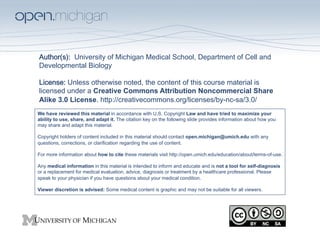Author(s):  University of Michigan Medical School, Department of Cell and
Developmental Biology
 
License: Unless otherwise noted, the content of this course material is
licensed under a Creative Commons Attribution Noncommercial Share
Alike 3.0 License. http://creativecommons.org/licenses/by-nc-sa/3.0/
We have reviewed this material in accordance with U.S. Copyright Law and have tried to maximize your
ability to use, share, and adapt it. The citation key on the following slide provides information about how you
may share and adapt this material.

Copyright holders of content included in this material should contact open.michigan@umich.edu with any
questions, corrections, or clarification regarding the use of content.

For more information about how to cite these materials visit http://open.umich.edu/education/about/terms-of-use.

Any medical information in this material is intended to inform and educate and is not a tool for self-diagnosis
or a replacement for medical evaluation, advice, diagnosis or treatment by a healthcare professional. Please
speak to your physician if you have questions about your medical condition.

Viewer discretion is advised: Some medical content is graphic and may not be suitable for all viewers.
 