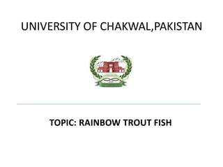 UNIVERSITY OF CHAKWAL,PAKISTAN
TOPIC: RAINBOW TROUT FISH
 