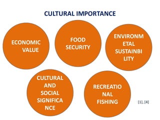 CULTURAL IMPORTANCE
ECONOMIC
VALUE
CULTURAL
AND
SOCIAL
SIGNIFICA
NCE
FOOD
SECURITY
ENVIRONM
ETAL
SUSTAINBI
LITY
RECREATIO
NAL
FISHING [1], [4]
 