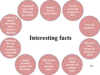 Interesting facts
Prefer 32-70
degree
Fahrenheit ,
rich in
Omega-3
fatty acid.
Female can
spawn 200-
8000 eggs
per season.
Carnivores
that eat
insects
,crustacean
s and small
fishes.
Largest
recorded
weight is 48
ibs (22kg).
They cannot
live in
polluted
water.
They have
been
farmed for
food since
1870.
Having 7
fins, no
lower teeth.
Can lay
thousands
of eggs at a
time.
They are
predators.
Chile is
largest
producer of
rainbow
trout.
[5]
 