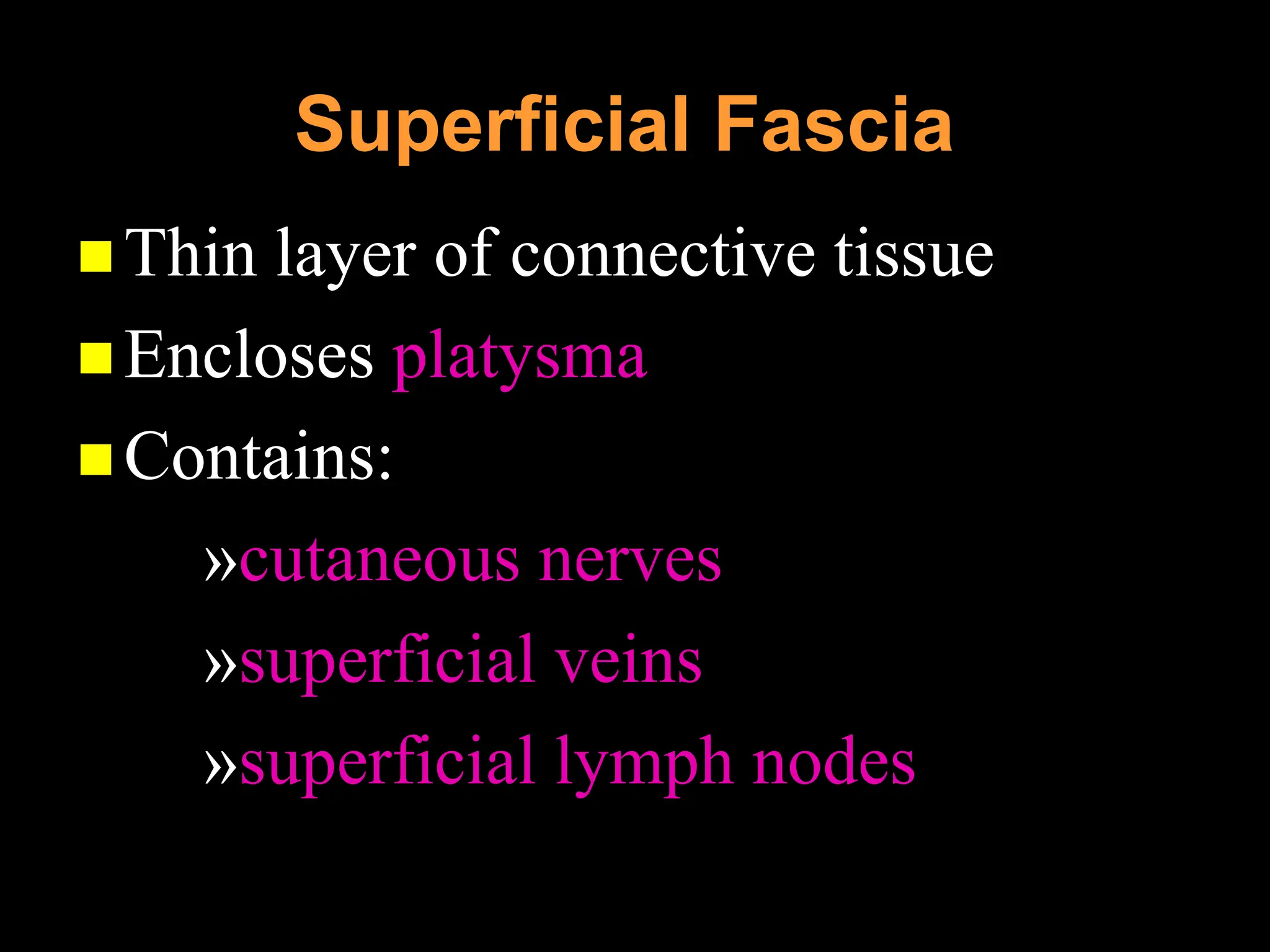 09. Posterior Tr iangle of the Neck.ppt