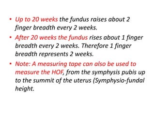 Two Fingerbreadths Lecture presentation on Antenatal care.pdf