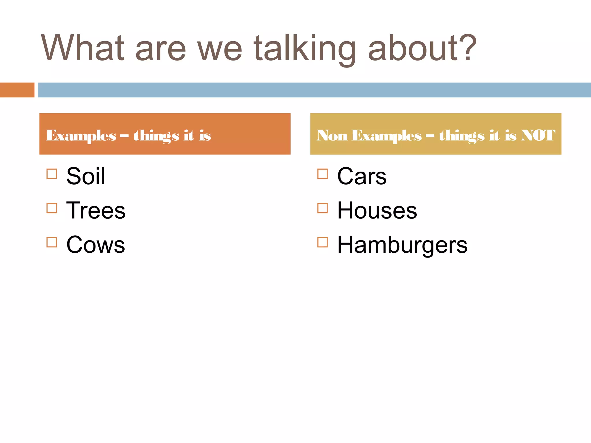 What are we talking about?
Soil
Trees
Cows
Cars
Houses
Hamburgers
Examples – things it is Non Examples – things it is NOT