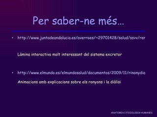 Per saber-ne més… http://www.juntadeandalucia.es/averroes/~29701428/salud/ssvv/renal1.htm   Làmina interactiva molt interessant del sistema excretor http://www.elmundo.es/elmundosalud/documentos/2009/11/rinonydialisis/rinon.html Animacions amb explicacions sobre els ronyons i la diàlisi 