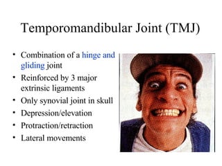 Temporomandibular Joint (TMJ) ,[object Object],[object Object],[object Object],[object Object],[object Object],[object Object]