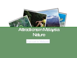 Attractions in Malaysia Nature Cuti-cuti to Malaysia 