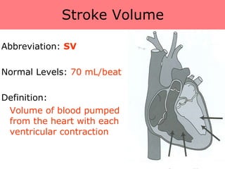 09 cardiac health, fitness and disease[1] | PPT