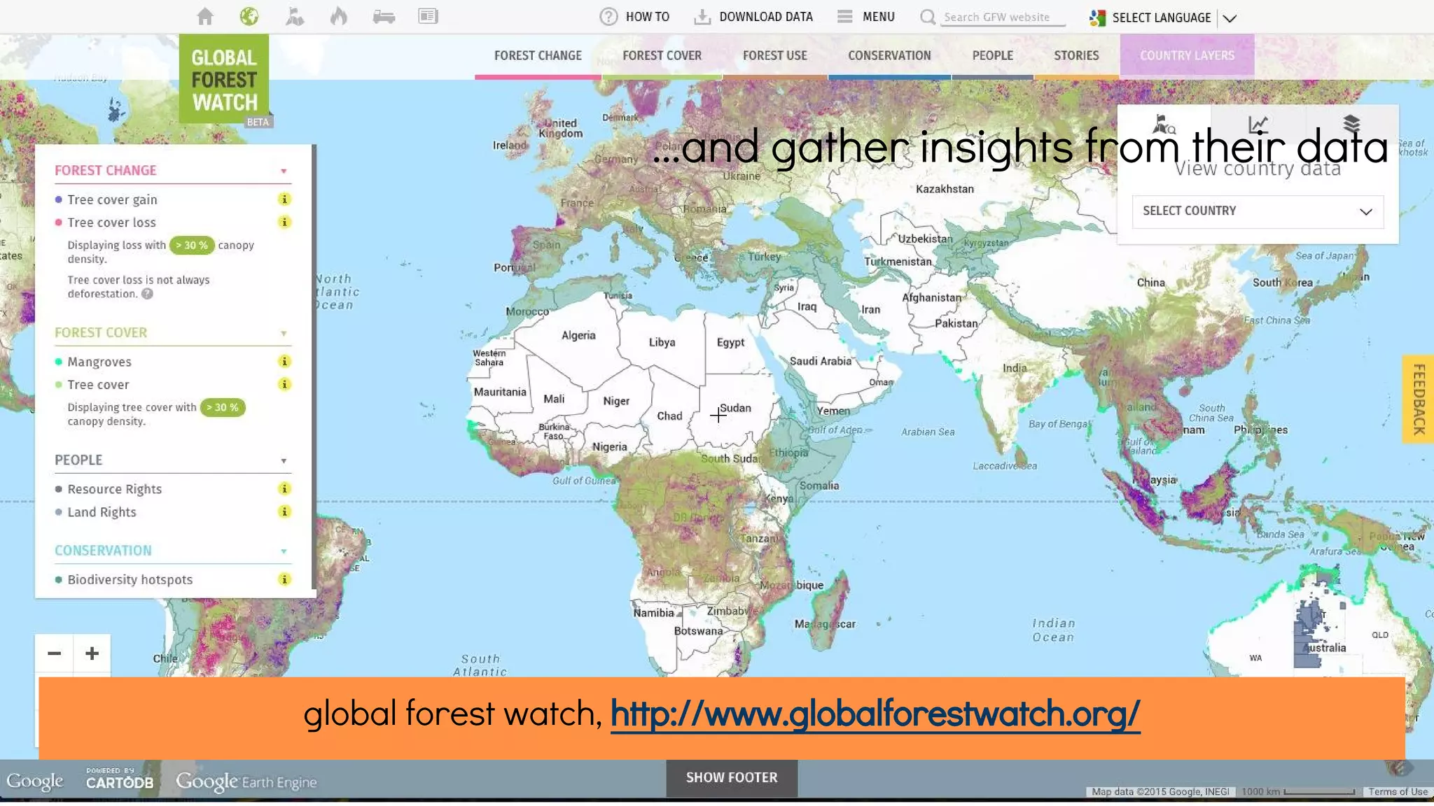 global forest watch, http://www.globalforestwatch.org/
...and gather insights from their data