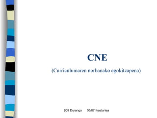   CNE   (Curriculumaren norbanako egokitzapena)   