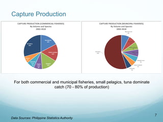 Capture Production
7
Data Sources: Philippine Statistics Authority
Roundscad
18%
Indian sardines
16%
Skipjack
15%
Frigate
...