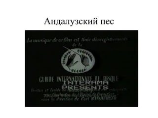 Андалузский пес
 