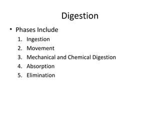 Digestion
• Phases Include
  1.   Ingestion
  2.   Movement
  3.   Mechanical and Chemical Digestion
  4.   Absorption
  5.   Elimination
 