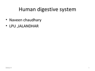 Human digestive system
• Naveen chaudhary
• LPU ,JALANDHAR
09/02/17 1
 