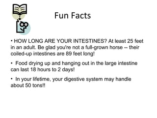 Fun Facts
• HOW LONG ARE YOUR INTESTINES? At least 25 feet
in an adult. Be glad you're not a full-grown horse -- their
coiled-up intestines are 89 feet long!
• Food drying up and hanging out in the large intestine
can last 18 hours to 2 days!
• In your lifetime, your digestive system may handle
about 50 tons!!
 