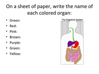 On a sheet of paper, write the name of
each colored organ:
• Green:
• Red:
• Pink:
• Brown:
• Purple:
• Green:
• Yellow:
 