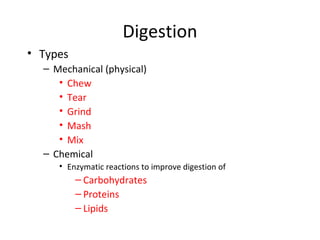 Digestion
• Types
– Mechanical (physical)
• Chew
• Tear
• Grind
• Mash
• Mix
– Chemical
• Enzymatic reactions to improve digestion of
– Carbohydrates
– Proteins
– Lipids
 