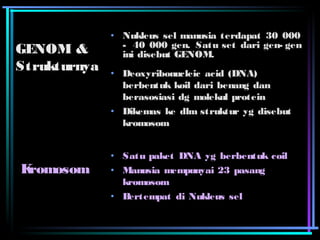 GGEENNOOMM && 
SSttrruukkttuurrnnyyaa 
• Nukleus sel manusia terdapat 30 000 
- 40 000 gen. Satu set dari gen- gen 
ini disebut GENOM. 
• Deoxyribonucleic acid (DNA) 
berbentuk koil dari benang dan 
berasosiasi dg molekul protein 
• Dikemas ke dlm struktur yg disebut 
kromosom 
• Satu paket DNA yg berbentuk coil 
• Manusia mempunyai 23 pasang 
kromosom 
• Bertempat di Nukleus sel 
KKrroommoossoomm 
 
