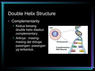 Double Helix Structure 
• Complementarity 
• Kedua benang 
double helix disebut 
complementary. 
• Artinya : masing-masing 
dpt diduga 
pasangan- pasangan 
yg terbentuk. 
 