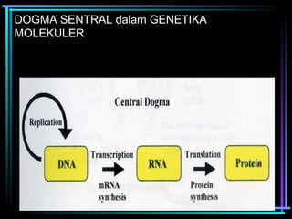DOGMA SENTRAL dalam GENETIKA 
MOLEKULER 
 