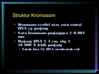 Struktur Kromosom 
• Kromosom terdiri atas satu rantai 
DNA yg panjang 
• Satu kromosom panjangnya ± 0.004 
mm 
• Panjang DNA ± 4 cm, shg ± 
10 000 X lebih panjang 
• Untuk bisa f it DNA membentuk coil 
 