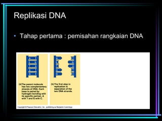 Replikasi DNA 
• Tahap pertama : pemisahan rangkaian DNA 
 