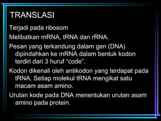 TRANSLASI 
Terjadi pada ribosom 
Melibatkan mRNA, tRNA dan rRNA. 
Pesan yang terkandung dalam gen (DNA) 
dipindahkan ke mRNA dalam bentuk kodon 
terdiri dari 3 huruf “code”. 
Kodon dikenali oleh antikodon yang terdapat pada 
tRNA. Setiap molekul tRNA mengikat satu 
macam asam amino. 
Urutan kode pada DNA menentukan urutan asam 
amino pada protein. 
 
