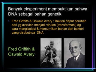 Banyak eksperiment membuktikan bahwa 
DNA sebagai bahan genetik 
• Fred Griffith & Oswald Avery : Bakteri dapat berubah 
dari yg avirulen menjadi virulen (transformasi) dg 
cara mengisolasi & memurnikan bahan dari bakteri 
yang disebutnya DNA 
Fred Griffith & 
Oswald Avery 
 