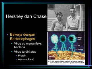 Hershey dan Chase 
• Bekerja dengan 
Bacteriophages 
• Virus yg menginfeksi 
bacteria 
• Virus terdiri atas 
• Protein 
• Asam nukleat 
 