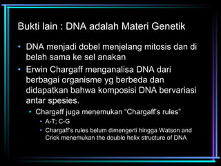 Bukti lain : DNA adalah Materi Genetik 
• DNA menjadi dobel menjelang mitosis dan di 
belah sama ke sel anakan 
• Erwin Chargaff menganalisa DNA dari 
berbagai organisme yg berbeda dan 
didapatkan bahwa komposisi DNA bervariasi 
antar spesies. 
• Chargaff juga menemukan “Chargaff’s rules” 
• A-T; C-G 
• Chargaff’s rules belum dimengerti hingga Watson and 
Crick menemukan the double helix structure of DNA 
 