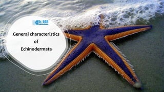 Presentation
Title
Presenter Name
General characteristics
of
Echinodermata
 