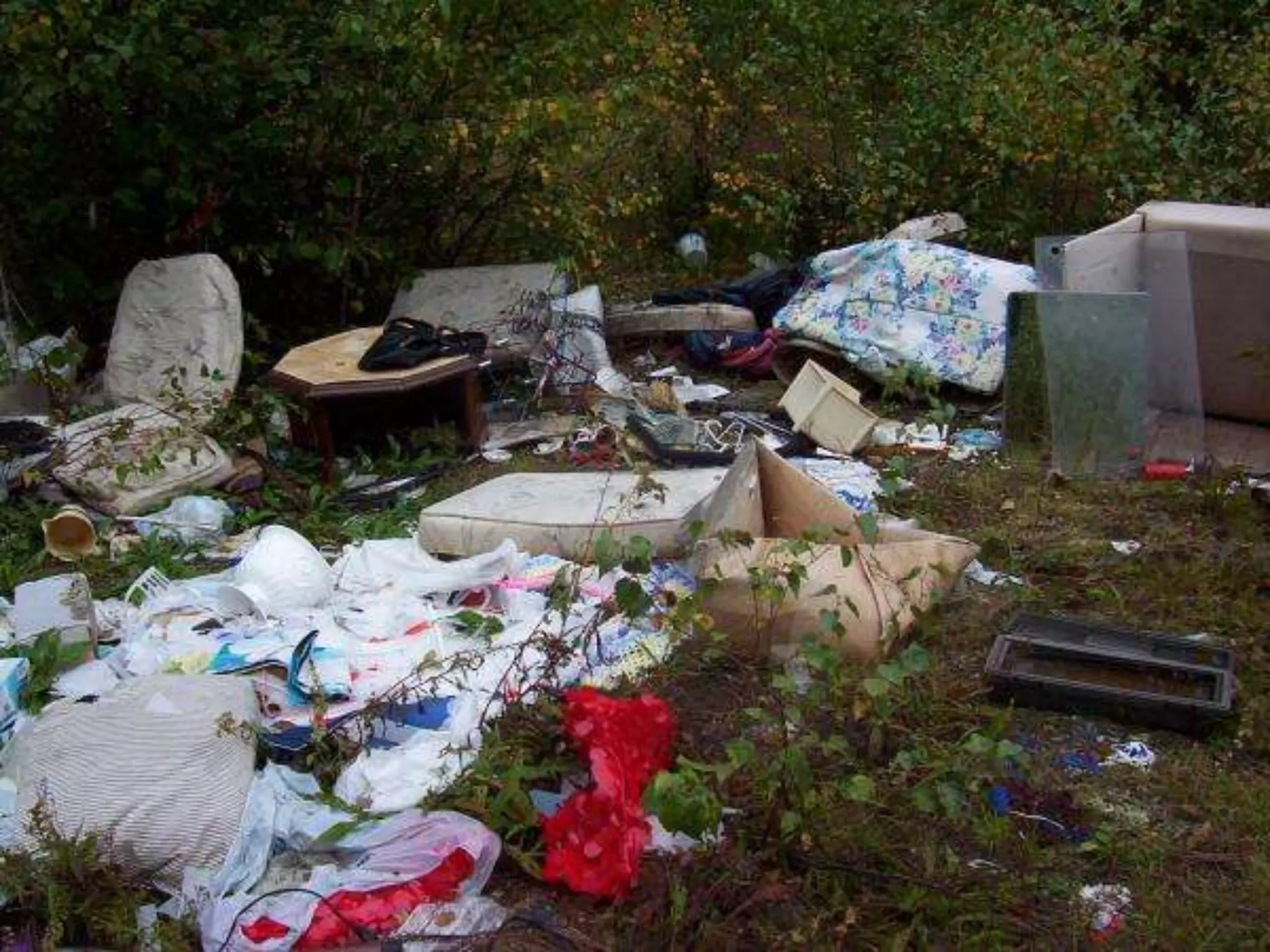 Strong emphasis on state policy and the role of public leadership to address vacant and abandoned properties as a key to economic recovery.Vacant, abandoned, forgotten properties and land Effective vacant property strategies require a systemic approach – simply taking a transactional approach is not sufficient in most places