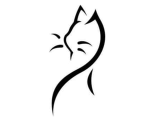 gestalt principles cats