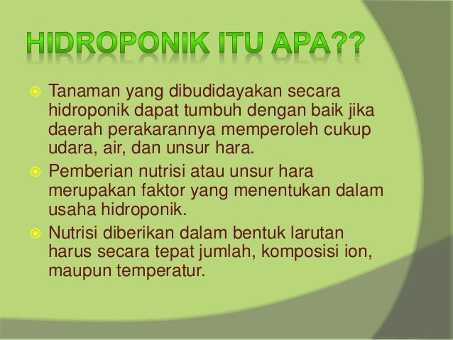 09 Hidroponik