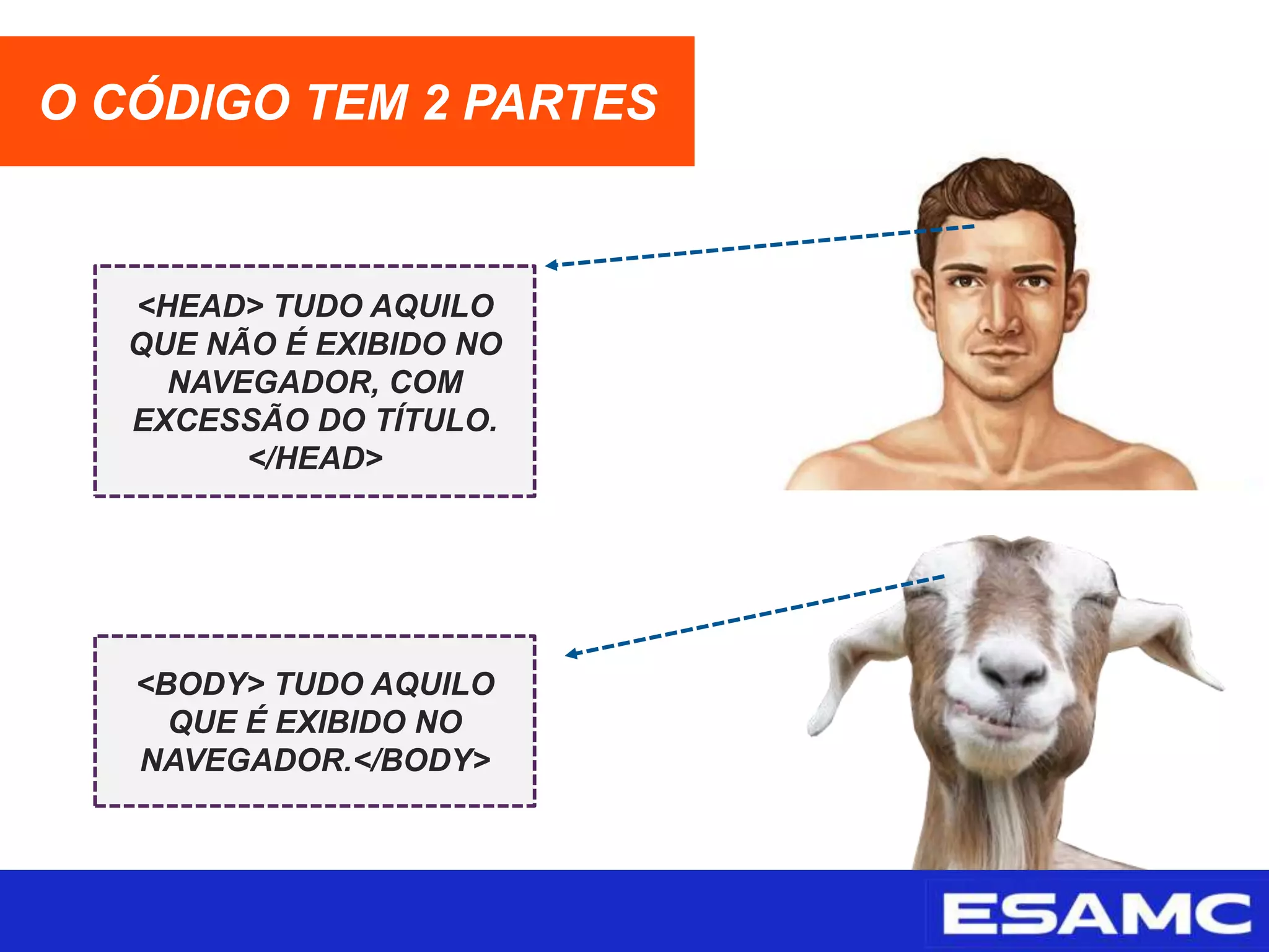 O CÓDIGO TEM 2 PARTES
<HEAD> TUDO AQUILO
QUE NÃO É EXIBIDO NO
NAVEGADOR, COM
EXCESSÃO DO TÍTULO.
</HEAD>
<BODY> TUDO AQUILO
QUE É EXIBIDO NO
NAVEGADOR.</BODY>
 