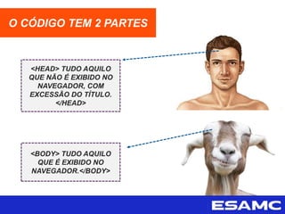 O CÓDIGO TEM 2 PARTES
<HEAD> TUDO AQUILO
QUE NÃO É EXIBIDO NO
NAVEGADOR, COM
EXCESSÃO DO TÍTULO.
</HEAD>
<BODY> TUDO AQUILO
QUE É EXIBIDO NO
NAVEGADOR.</BODY>
 