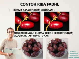 • KURMA BASAH 2 (DUA) KILOGRAM :
• DITUKAR DENGAN KURMA KERING SEBERAT 2 (DUA)
KILOGRAM, TAPI TIDAK TUNAI :
CONTOH RIBA FADHL
 