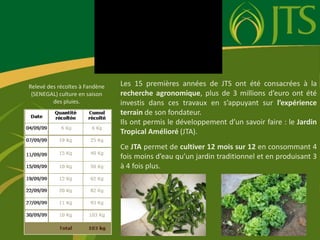 Les 15 premières années de JTS ont été consacrées à la recherche agronomique, plus de 3 millions d’euro ont été investis dans ces travaux en s’appuyant sur l’expérience terrain de son fondateur. Ils ont permis le développement d’un savoir faire : le Jardin Tropical Amélioré (JTA).Ce JTA permet de cultiver 12 mois sur 12 en consommant 4 fois moins d’eau qu’un jardin traditionnel et en produisant 3 à 4 fois plus.Relevé des récoltes à Fandène (SENEGAL) culture en saison des pluies.